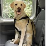 Nobby Autohundegeschirr Geschirr incl. Sicherheitsgurt schwarz