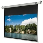 Celexon Economy Motorleinwand (schwarze R&uuml;ckseite)