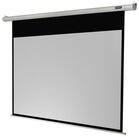 Celexon Economy Motorleinwand (schwarze R&uuml;ckseite)