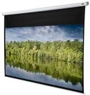 Celexon Economy Rolloleinwand (schwarze R&uuml;ckseite)