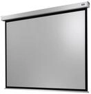 Celexon Professional Plus Motorleinwand (schwarze R&uuml;ckseite)