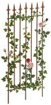CLP Rankgitter Elisa, 1 St., 1er, aus lackiertem Eisen, Kletterhilfe f&uuml;r Rosen