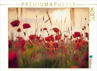 CALVENDO Puzzle CALVENDO Puzzle Mohnblumen im Abendlicht, 1000 Teile...