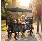 miweba Bollerwagen faltbar Transportkarre Handwagen Bollerwagen MB-20...
