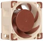 Noctua Geh&auml;usel&uuml;fter L&uuml;fter - 40mm NF-A4x20 5V PWM