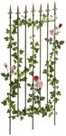 CLP Rankgitter Elisa, 1 St., 1er, aus lackiertem Eisen, Kletterhilfe f&uuml;r Rosen