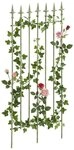 CLP Rankgitter Elisa, 1 St., 1er, aus lackiertem Eisen, Kletterhilfe f&uuml;r Rosen