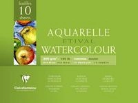 CLAIREFONTAINE Zeichenpapier Clairefontaine Aquablock Rauh ETI 300g 30x40 10Bl