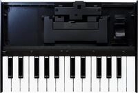 Roland Masterkeyboard Roland K-25M