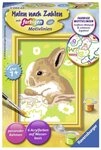 Ravensburger Malen nach Zahlen CreArt, Malen nach Zahlen Kinder - H&auml;schen...