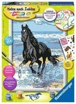 Ravensburger Malen nach Zahlen Ravensburger 28565 - Pferd am Strand - Malen nach