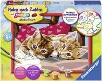 Ravensburger Malen nach Zahlen Zwei Schmusek&auml;tzchen, Made in Europe