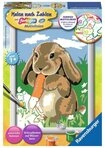 Ravensburger Malen nach Zahlen Ravensburger Malen nach Zahlen Classic Serie E