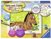 Ravensburger Malen nach Zahlen Ravensburger Malen nach Zahlen Classic Serie F...