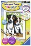 Ravensburger Malen nach Zahlen CreArt, Malen nach Zahlen Kinder - S&uuml;&szlig;e Welpen
