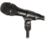 audio-technica Mikrofon Audio-Technica AT2010, Mikrofon