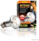 Exo Terra Terrarienleuchte Intense Basking Spot - Tageslichtlampe
