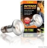 Exo Terra Terrarienleuchte Intense Basking Spot - Tageslichtlampe