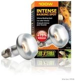 Exo Terra Terrarienleuchte Intense Basking Spot - Tageslichtlampe