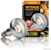 Exo Terra Terrarienleuchte Intense Basking Spot - Tageslichtlampe