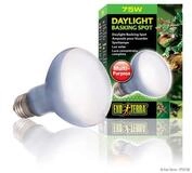Exo Terra Terrarienleuchte Daylight Basking Spot - Neodymium Tageslichtlampe