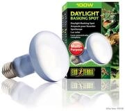 Exo Terra Terrarienleuchte Daylight Basking Spot - Neodymium Tageslichtlampe