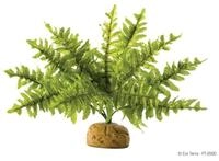 Exo Terra Terrariendeko Terrarien-Pflanze Boston Farn