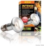 Exo Terra Terrarienleuchte Intense Basking Spot - Tageslichtlampe