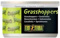 Exo Terra Grasshoppers Dosenfutter (Heuschrecken) 34 g, Trockenfutter f&uuml;r:...