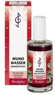 Bombastus-Werke AG Mundwasser MUNDWASSER Konzentrat, 50 ml