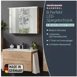 FACKELMANN Badezimmerspiegelschrank LED Spiegelschrank B.PERFEKT