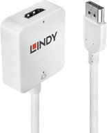 Lindy LINDY 38146 HDMI / DisplayPort Konverter [1x HDMI-Buchse - 1x DisplayP