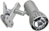 Paulmann Klemmleuchte Paulmann Gryps 99825 Klemmleuchte Energiesparlampe E14 40 W