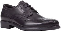 Geox U DUBLIN B Schn&uuml;rschuh Business Schuh, Anzugschuh mit Blockabsatz