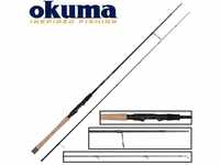 Okuma Spinnrute Okuma Epixor 288cm 15-50g