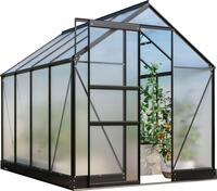 Vitavia Gew&auml;chshaus Apollo 5000, BxTxH: 195 x 261 x 207,4 cm, 4 mm Wandst&auml;rke,