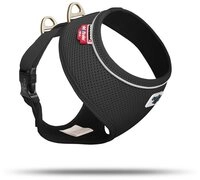 Curli Hunde-Geschirr Basic Air Mesh, Nylon