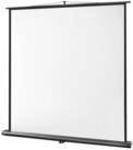 Celexon Professional Pull-Up-Leinwand (schwarze R&uuml;ckseite)