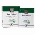 Dr. Theiss Naturwaren GmbH Fu&szlig;bad ALLG&Auml;UER LATSCHENK. Sole Fu&szlig;bad 10X10g