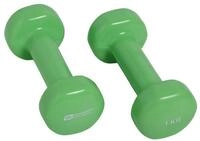 Schildkr&ouml;t Hantel Fitness Vinyl (Eisen/PVC) gr&uuml;n Set 2x1,0kg
