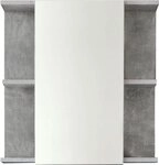 trendteam Spiegelschrank Nano Spiegelschrank mit 4 Einlegeb&ouml;den - (B/T/H) 60/20/62