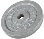 GORILLA SPORTS Hantelscheibe Hantelscheibe Guss 30/31 mm 1,25-30 KG, 5 kg, (1-tlg)