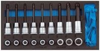 Gedore Schraubendreher, (19 St), Werkzeugmodul CT1/3 Einsatz Torx