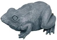 OASE Wasserspeier Oase Wasserspeier Frosch (1 St)
