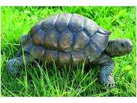 Boltze Schildkröte (34 cm)