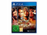 Fire Pro Wrestling World (PS4) Playstation 4