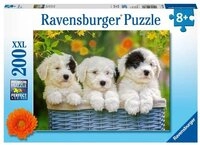 Ravensburger Puzzle Kuschelige Welpen - Puzzle mit 200 Teilen, 200 Puzzleteile