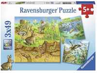 Ravensburger Tiere in ihren Lebensräumen (08050)