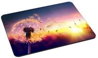 PEDEA Gaming Mauspad 22 cm x 18 cm mit Motiv (Gr&ouml;&szlig;e L), mit vern&auml;hten R&auml;ndern und