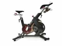 AsVIVA Speedbike Indoor Cycle AsVIVA S15 Bluetooth, Fitness App kompatibel, SPD